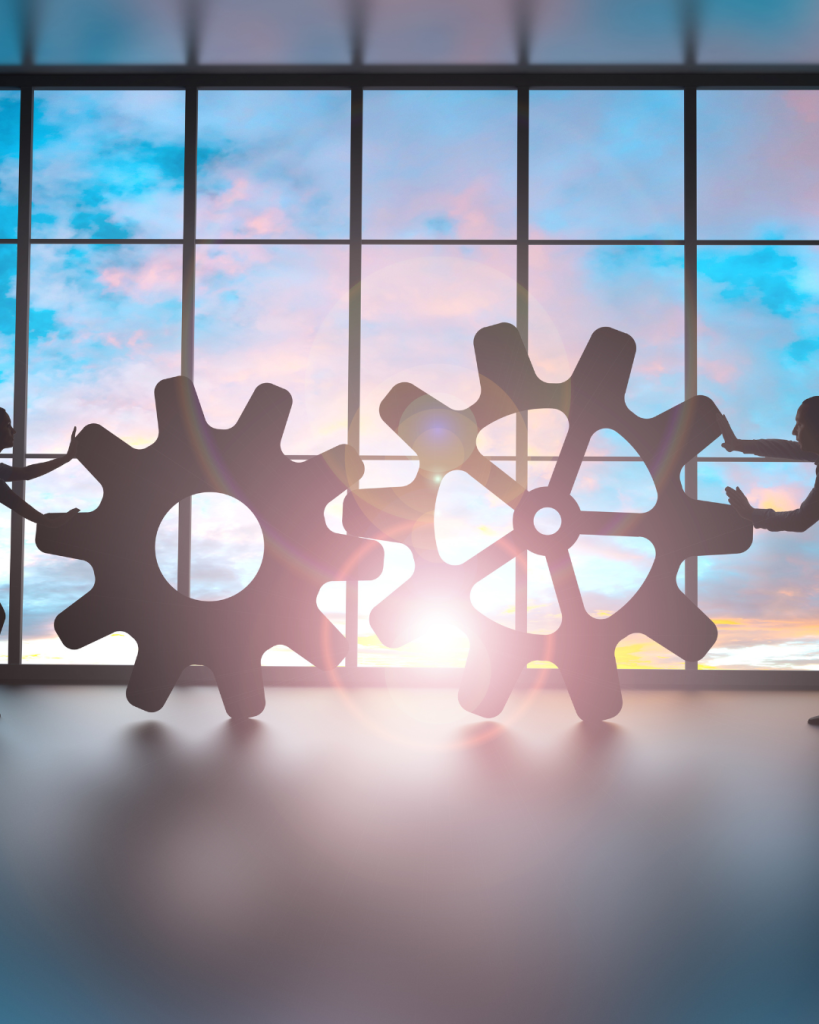 تأسيس الشركات في مصر دليلك الشامل -